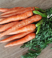 Gourmets de l'Ouest - Carottes de Saint-Malo