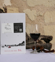 Domaine de la Chopinière du Roy - BIB de Vin Rouge Saint Nicolas de Bourgueil 2025 - 5 Litres