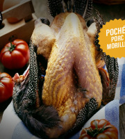 Boucherie Moderne - [Précommande] Pintade Farce PORC / Morilles POCHÉE