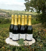 Domaine Doudeau-Leger - Bulles d'Ange - Méthode Traditionnelle Blanc Brut - 6 Bouteilles