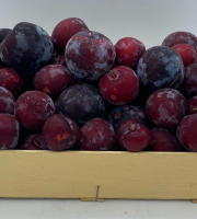 Le Panier du Producteur - Prune "Rouge"