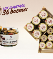 Les Myconautes - Lot 36 bocaux Pickles de pleurotes eryngii