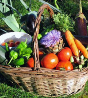 Les Jardins de Mondpa - Panier de légumes de saison