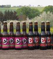 Brasserie Blessing - PACK BIERES – 6 IPA + 6 stouts – 12x33cl