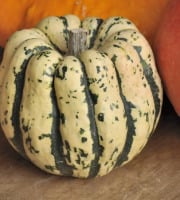 ChâteauFer - Courge - Patidou 1kg