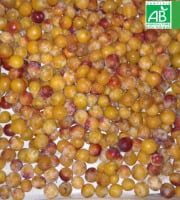 LES JARDINS DE KARINE - Mirabelle BIO pour Confitures / Moriviller / Lorraine - 1kg
