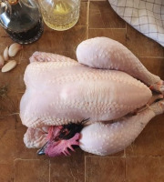 EARL Plumes et Laines - Poulet Fermier Cou Nu 2.5 kg