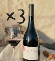 Domaine de la Chopinière du Roy - Lot de 3 Bouteilles de vin rouge Saint Nicolas de Bourgueil cuvée Sous la Robe 2023 - 3 x 75 cl