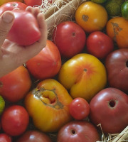 Le Cayre de Valjancelle - Bruno Cayron et Isé Crébely - Tomates anciennes en mélange - 5,5kg