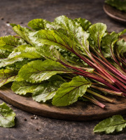 Nature et Saveurs - Ferme Aquaponique et Permacole Astérienne - Jeunes feuilles de Betterave verte — Fraîcheur végétale et douce