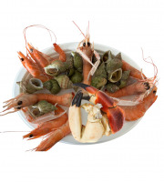 Le Termer - Plateau de fruits de mer 1