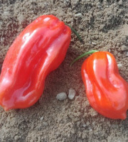 HERBA HUMANA - Habanero Rouge - 40g
