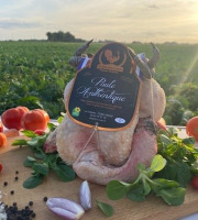 Les Volailles Loyer - Poules Fermières Authentiques par 2 (colis de 4 kgs) PAC - Ente 1,8 kgs et 2,2 kgs