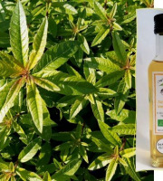 L'Agricueilleur du Suzon - Sirop de Verveine BIO - 50cl