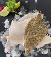 Notre poisson - Filet de turbot sauvage avec peau 500gr