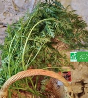 LES JARDINS DE KARINE - Feuilles de Carotte - 250g