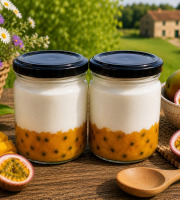 Gaec de l'Elanion - Lot de 2 Fromage Blanc Mangue Passion