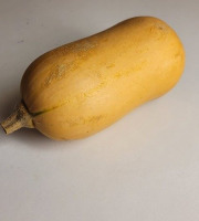 Maison Quéméner - Butternut x 5 pièces (environ 5 kg)