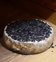 Alléosse Maitre Artisan Affineur Fromager - Tomme fermière au Marc de Raisins au lait cru