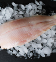 Du Léman à l'Océan - Filets De Féra Frais Du Léman - 1 Kg