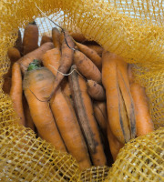 Ferme Joos - carottes déclassées pour animaux 10kg