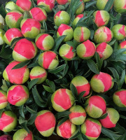 Domaine Reverchon - Pivoines Bouquet 5 tiges