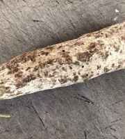 Ferme Joos - Saucisson sec de boeuf : Ferme Delmotte