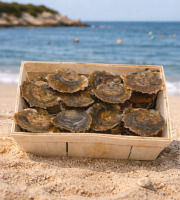 Luximer - Huîtres PLATES de Belon - Bourriche de 50 n°0