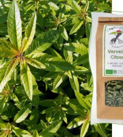 L'Agricueilleur du Suzon - Infusion Verveine citron BIO