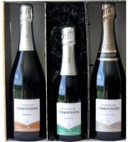 Champagne Deneufchatel - Coffret À La Découverte Du Champagne