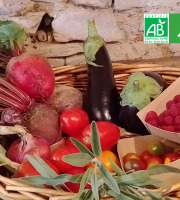 LES JARDINS DE KARINE - PANIER modulable Fruits Légumes ROUGE VIOLET