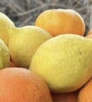 L'OLIVERAIE DU COUDON - PANIER AGRUMES FRAÎCHEUR – 8 KG DE SOLEIL