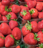 Ferme Joos - Fraises confiture 5kg