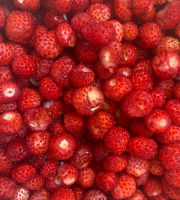 Des Poules et des Vignes à Bourgueil - Fraises des bois