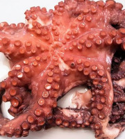 Poissonnerie La Piriacaise - Poulpe lot de 2 kilos