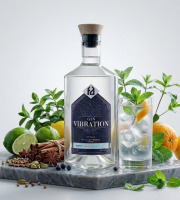 La Fabrique à Alcools - Gin Vibration - 70cl