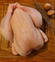 Ferme du Groin à L’Airbe - Poulet congelé