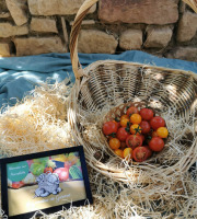 Les Jardins de Gérard - Tomate Cerise Meli mélo Bio x 3 kg