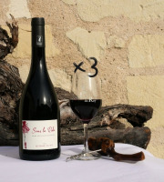 Domaine de la Chopinière du Roy - Lot de 3 Bouteilles de vin rouge Saint Nicolas de Bourgueil cuvée Sous la Robe 2024 - 3 x 75 cl