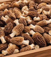Cham B - [Précommande] Morilles fraîches cultivées en Charente 2kg