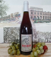 Cave Creuzet - Les Caves aux Caux - AOC Coteaux du Vendômois Rouge "Rubis Trotte Putain" 2024 - Lot de 6