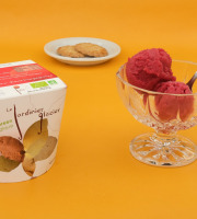 Le Jardinier Glacier - Sorbet Griottes - 2,5l x2