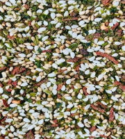 Zalg - UMAMIX : sésame & algues à saupoudrer - Oignon & Figue 200g