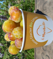 O Maribelle - Mirabelles IGP de Lorraine - BIO