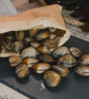 Thalassa Tradition - Palourdes Vivantes Grosses - 1kg