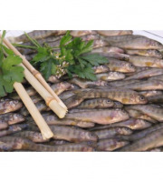 Ma poissonnière - Friture De Truite - Lot De 2 Kg