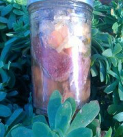 Les Délices du Scamandre - Pot au Feu de Taureau - Pot de 950 g