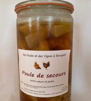 Des Poules et des Vignes à Bourgueil - Poule de Secours (4 personnes)