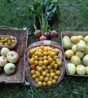 Les Jardins de Karine - PANIER modulable Fruits et Légumes JAUNES