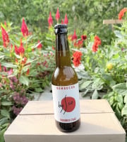 Nature et Saveurs - Ferme Aquaponique et Permacole Astérienne - Kombucha Rooibos Chaï Bio Bysco - 75cl